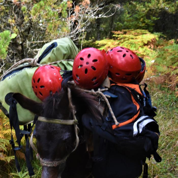 Kayaking and Stand Up Paddle to Tomor Lake