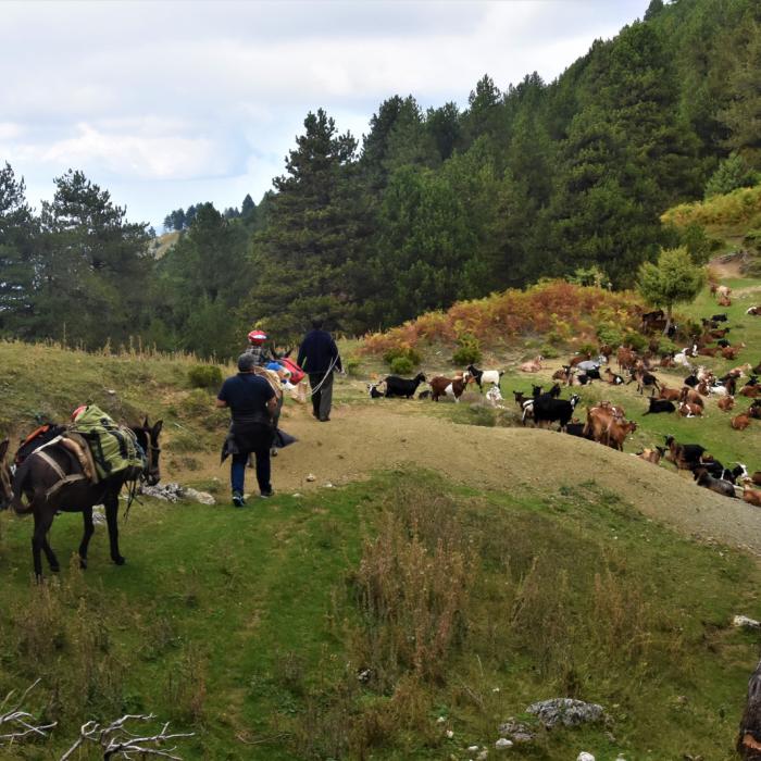 Kayaking and Stand Up Paddle to Tomor Lake Kayaking and Stand Up Paddle to Tomor Lake