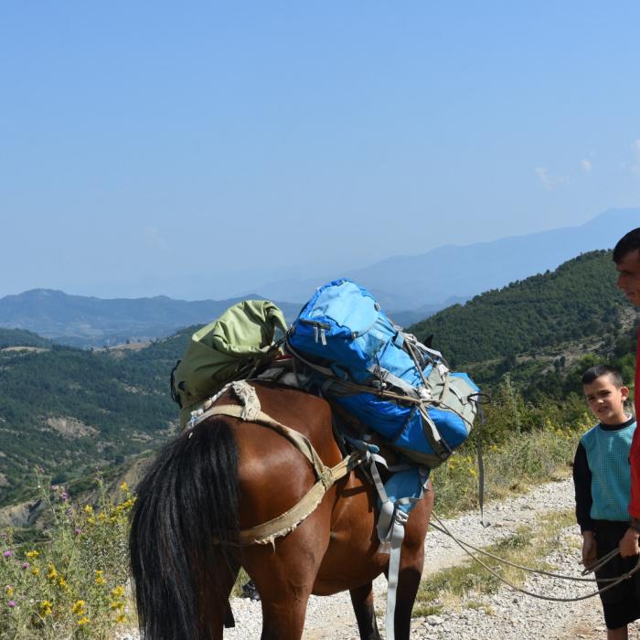 Kayaking and Stand Up Paddle to Tomor Lake